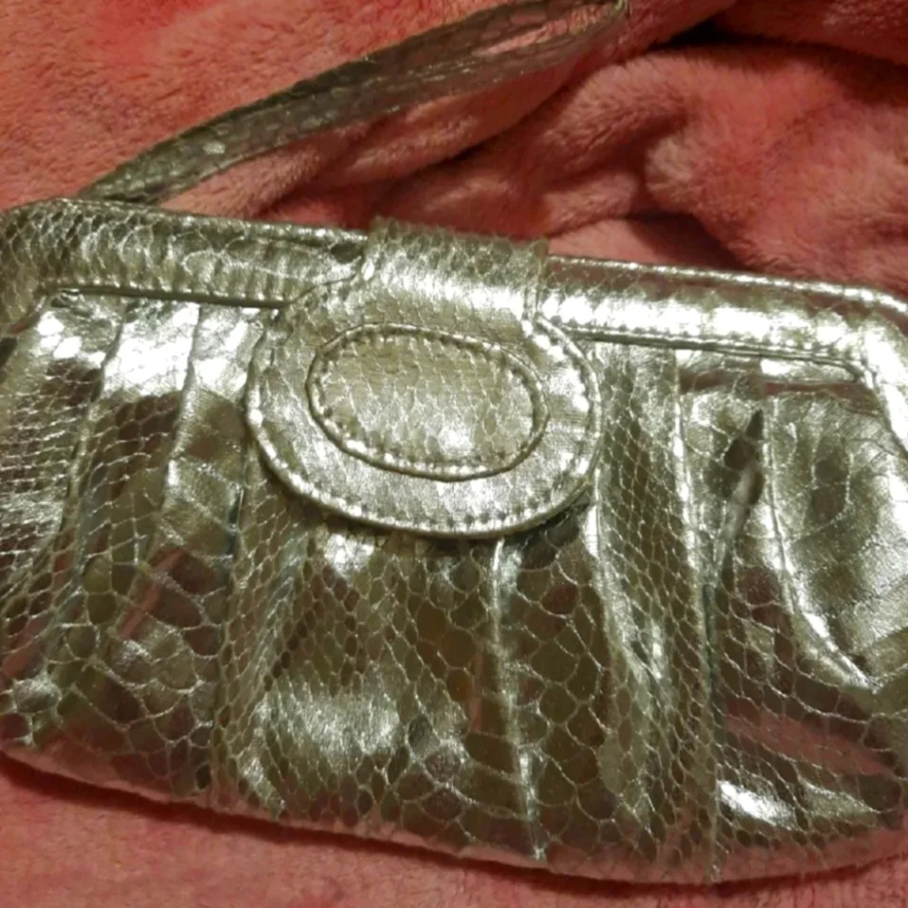 Silver Wrist Clutch - Picture 1 of 1